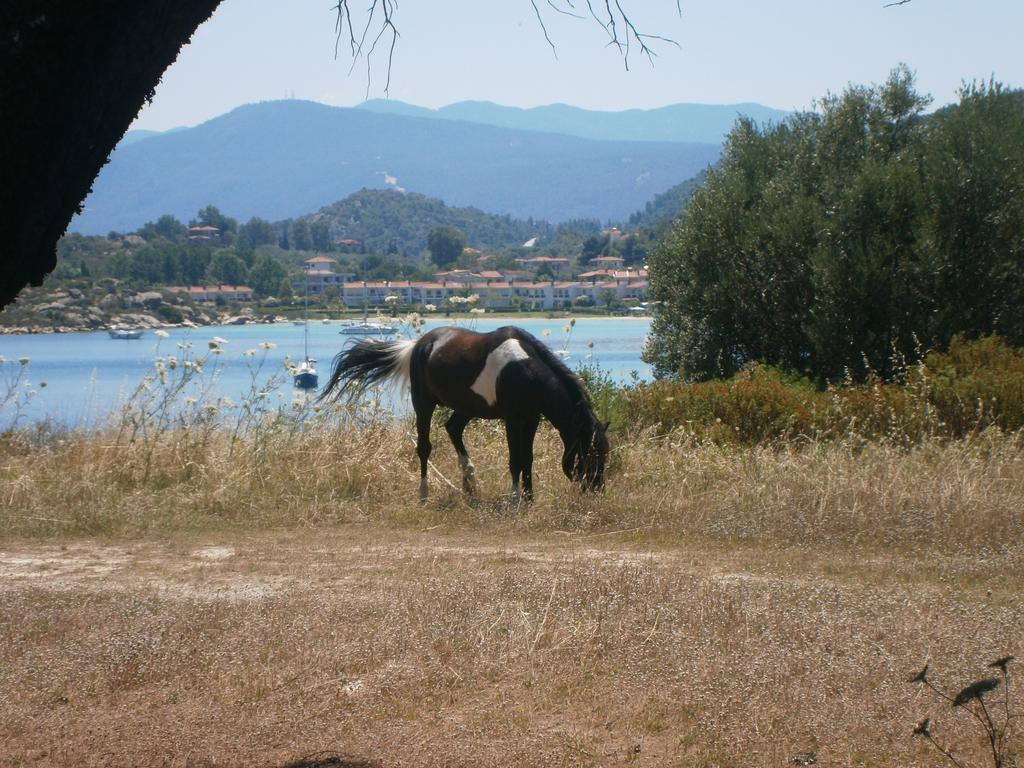 Barbagiannis House Apartment Ormos Panagias Bilik gambar